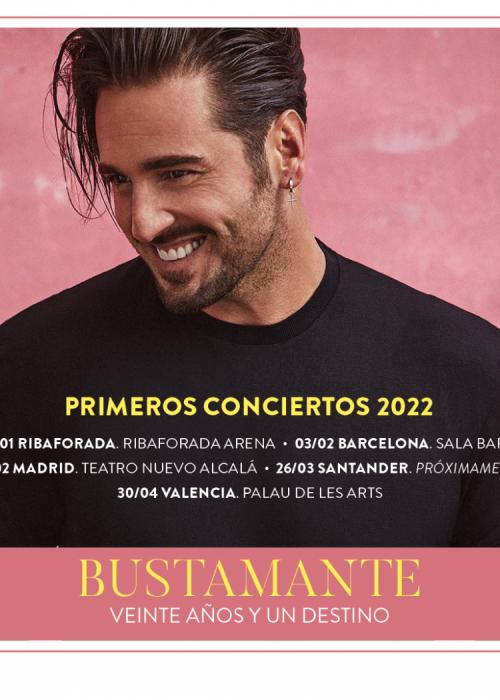 Cartel de Concierto de David Bustamante en Valencia