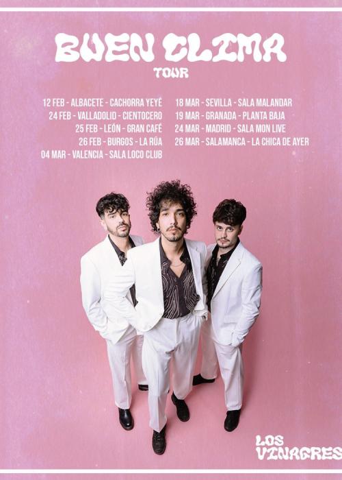 Cartel de Concierto de Los Vinagres en Valencia