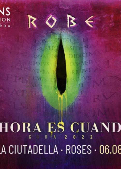 Cartel de Concierto de Robe Iniesta en Laredo