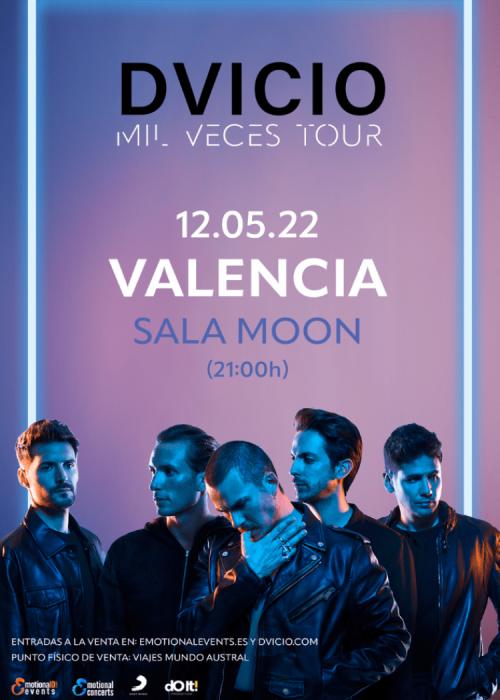 Cartel de Concierto de Dvicio en Valencia