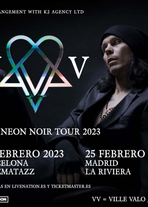 Cartel de Concierto de VV en Madrid