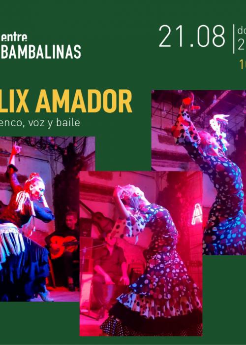 FELIX AMADOR / Flamenco