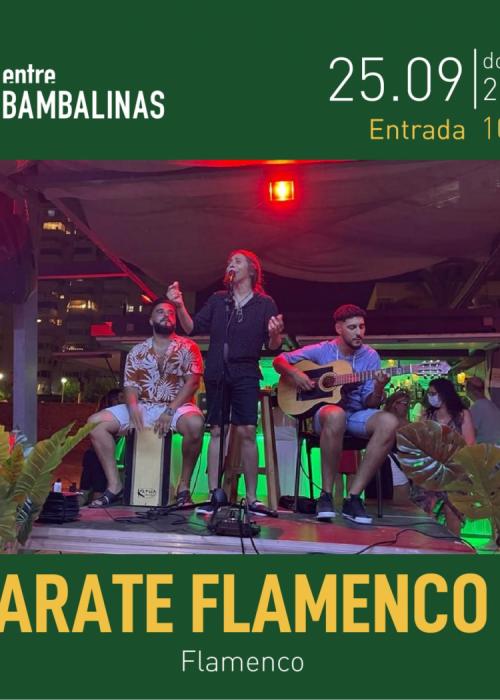 ARATE FLAMENCO