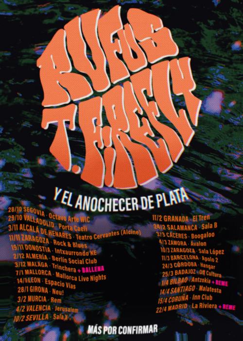 Cartel de Concierto de Rufus T. Firefly en Murcia