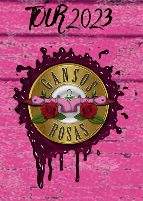 Cartel de Concierto de Gansos Rosas en Valencia
