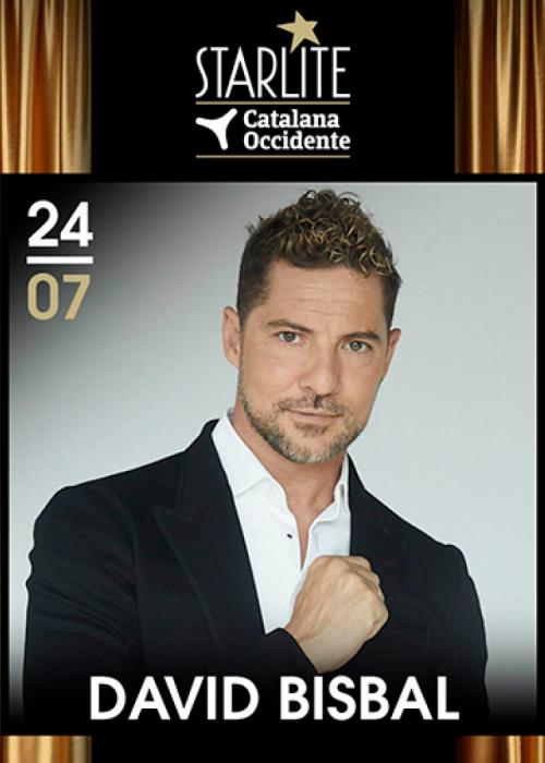 Cartel de Concierto de David Bisbal en Marbella