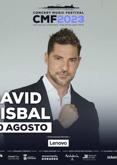 Cartel de Concierto de David Bisbal en Chiclana de la Frontera