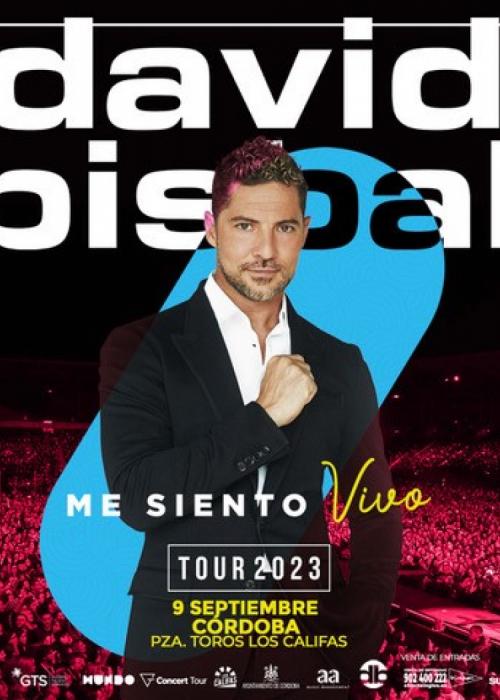 Cartel de Concierto de David Bisbal en Córdoba