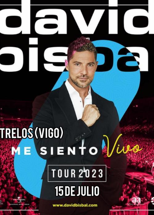 Cartel de Concierto de David Bisbal en Vigo