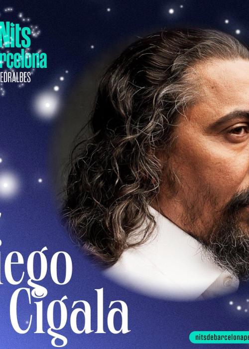 Cartel de Concierto de Diego el Cigala en Barcelona