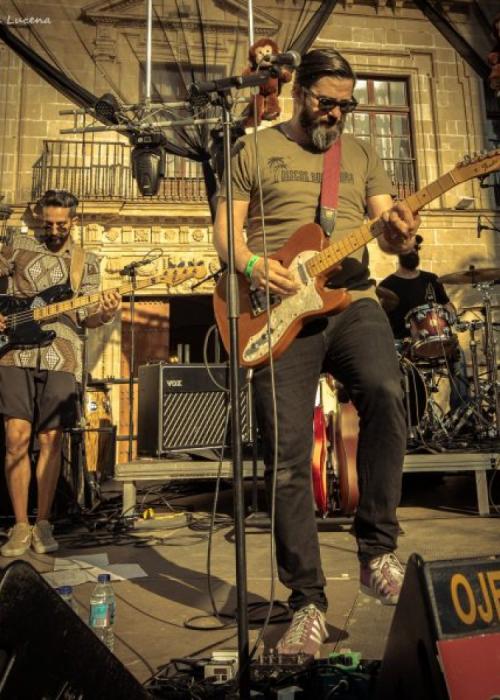 Cartel de Concierto de Flecha Valona en Madrid