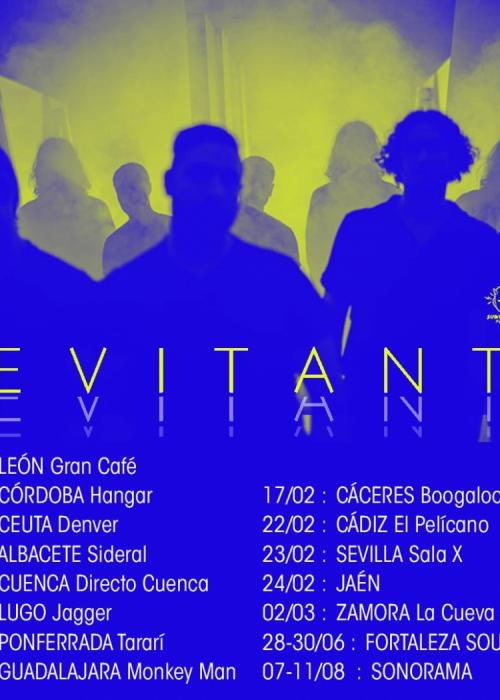 Cartel de Concierto de The Levitants en Zamora