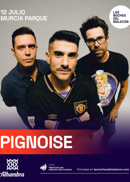 Cartel de Concierto de Pignoise en Murcia