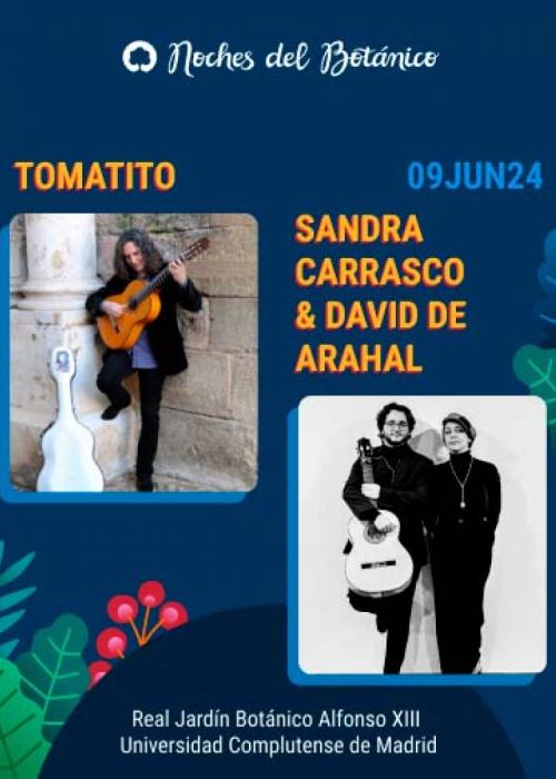 Cartel de Concierto de Tomatito + Sandra Carrasco & David de Arahal en Madrid