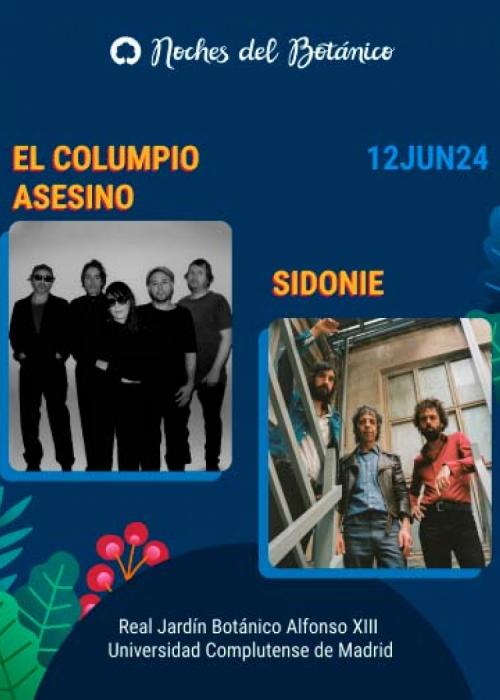 Cartel de Concierto de Columpio Asesino + Sidonie en Madrid