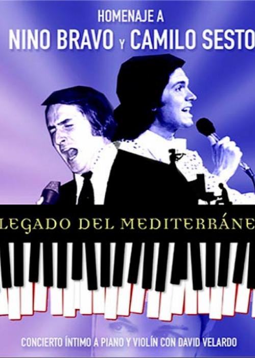 David Velardo