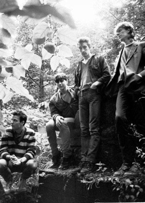 The ChameleonsVox
