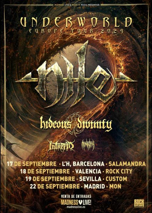 Cartel de Concierto de Nile en Valencia