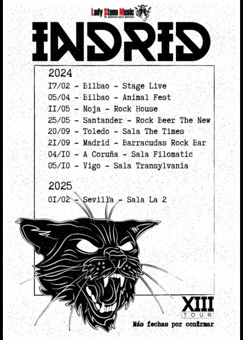 Cartel de Concierto de Indrid en Sevilla