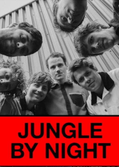 Jungle By Night