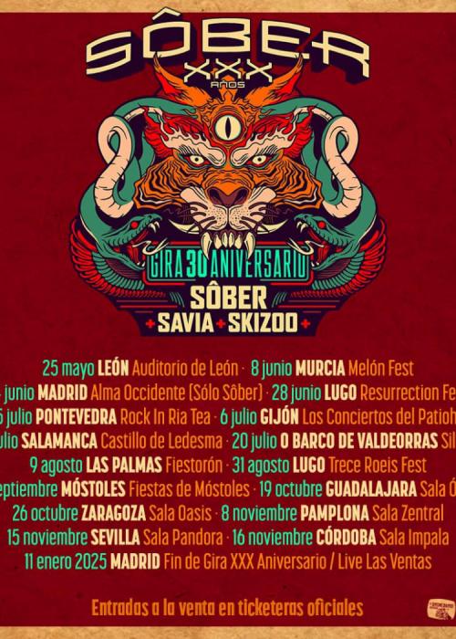 Cartel de Concierto de Sôber en Sevilla