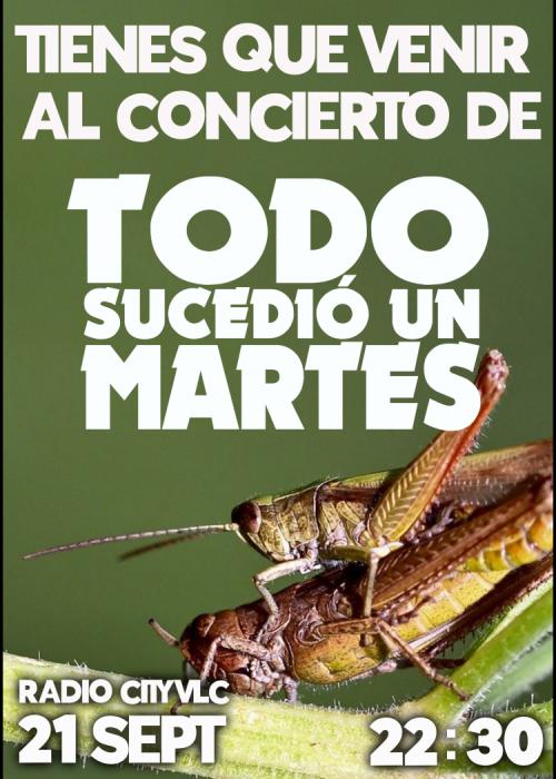 Cartel de Concierto de Todo sucedió un martes en Valencia
