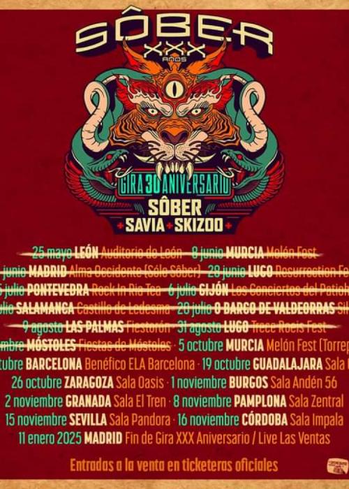 Cartel de Concierto de Sôber en Granada
