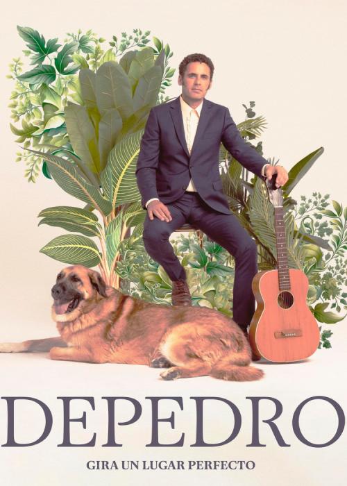 Cartel de Concierto de Depedro en Madrid