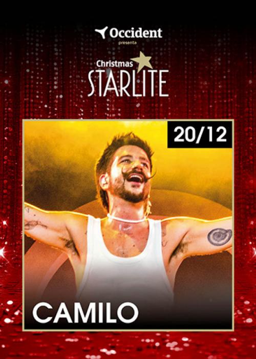 Cartel de Concierto de Camilo en Madrid