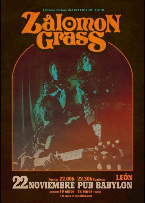 Cartel de Concierto de Zålomon Grass en León