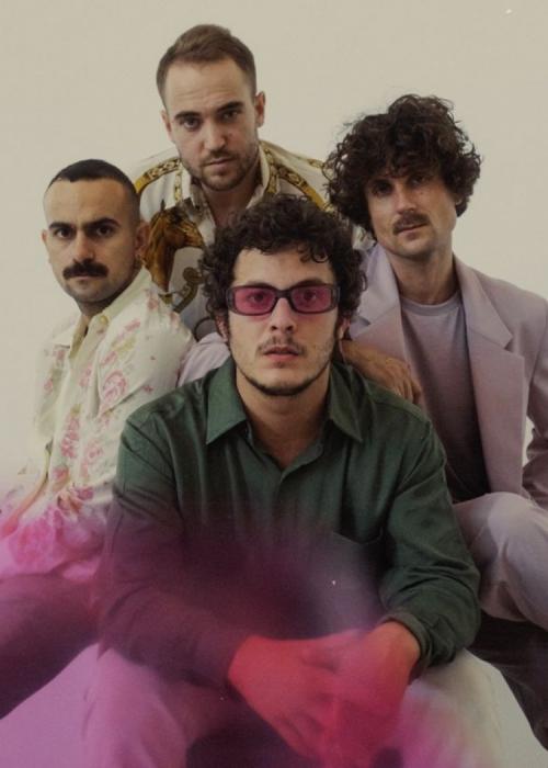 Cartel de Concierto de Vera Fauna en Barcelona