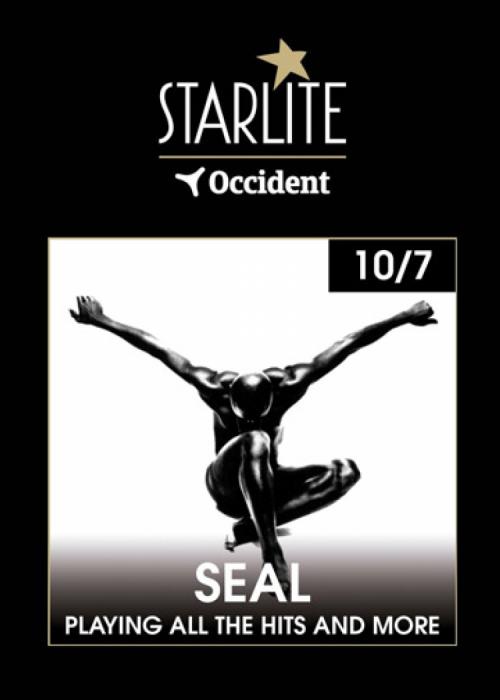 Cartel de Concierto de Seal en Marbella