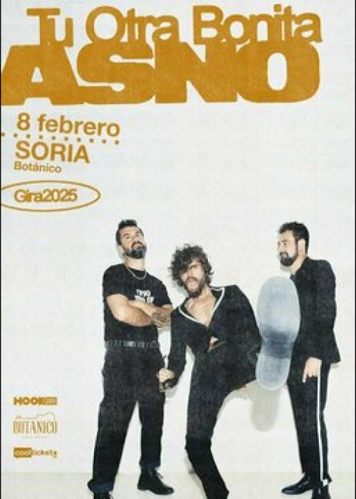 Cartel de Concierto de Tu Otra Bonita en Soria