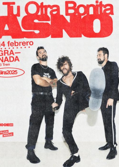 Cartel de Concierto de Tu Otra Bonita en Granada