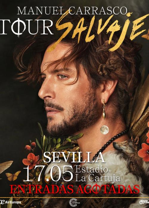 Cartel de Concierto de Manuel Carrasco en Sevilla