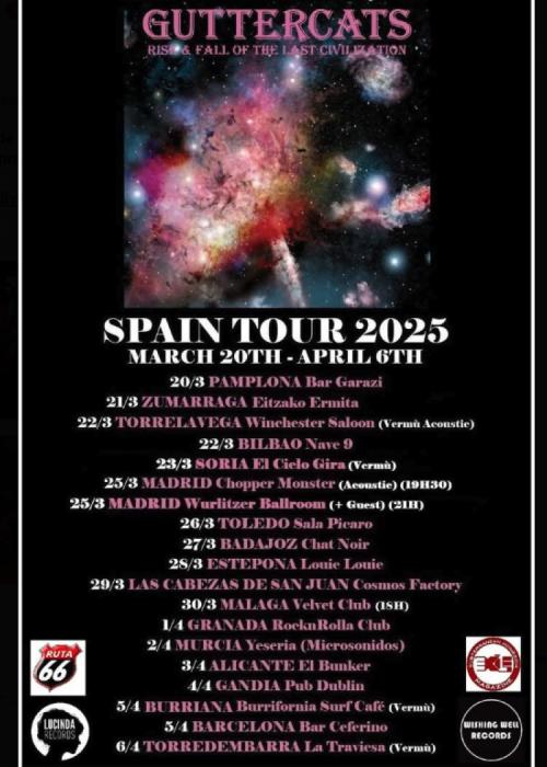 Cartel de Concierto de Guttercats en Toledo