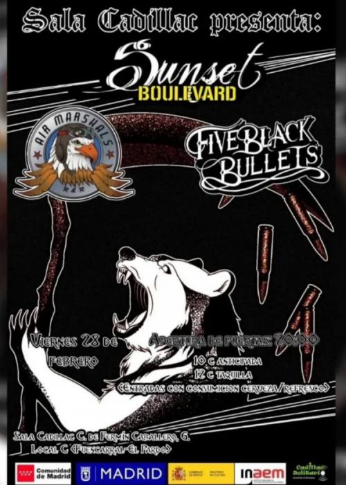 Five Black Bullets