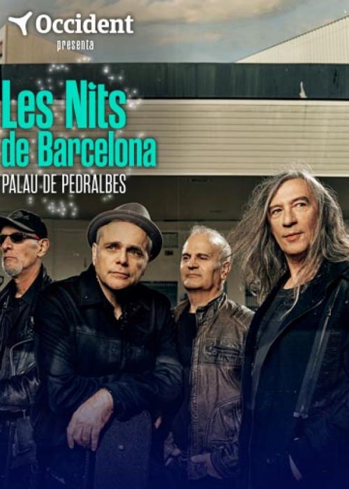 Cartel de Concierto de Sopa de Cabra en Barcelona