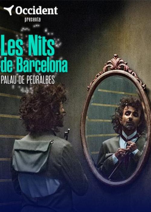 Cartel de Concierto de Ara Malikian en Barcelona