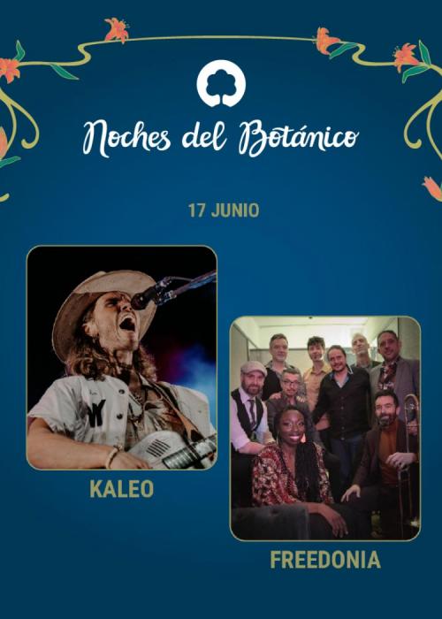 Cartel de Concierto de Kaleo + Freedonia en Madrid