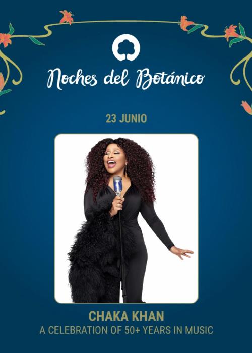 Cartel de Concierto de Chaka Khan en Madrid