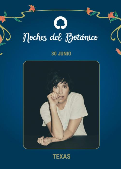 Cartel de Concierto de Texas en Madrid