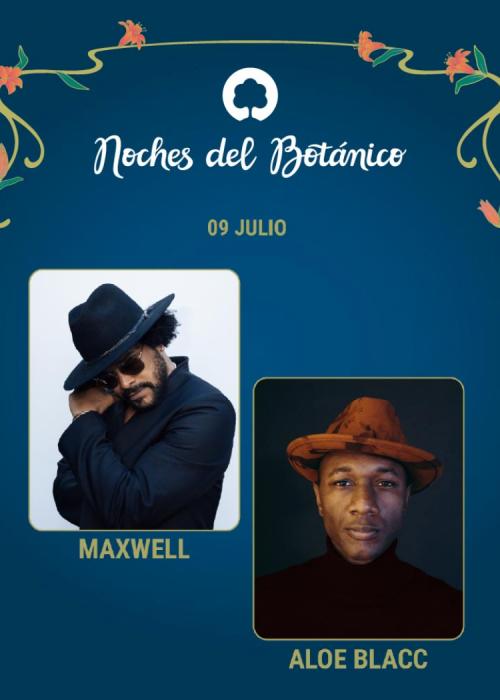 Cartel de Concierto de Maxwell + Aloe Blacc en Madrid