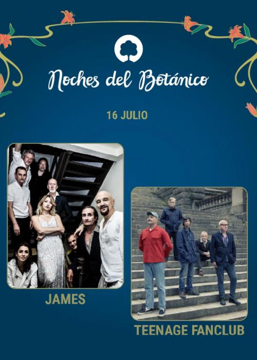 Cartel de Concierto de James + Teenage Fanclub en Madrid