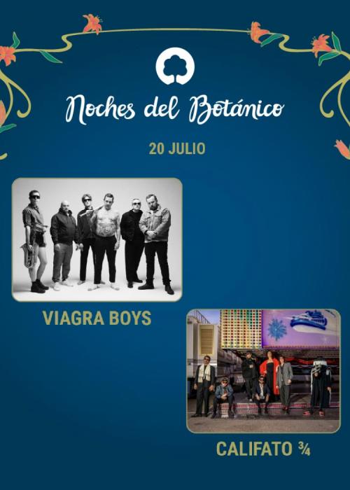 Cartel de Concierto de Viagra Boys + Califato 3/4 en Madrid