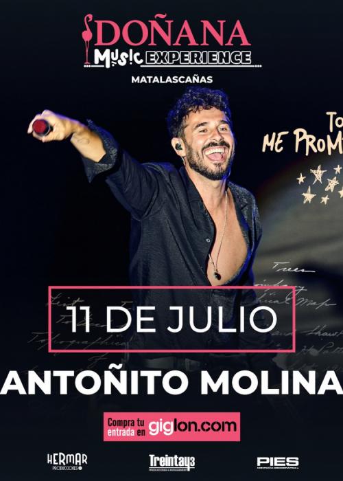 Cartel de Concierto de Antoñito Molina en Huelva