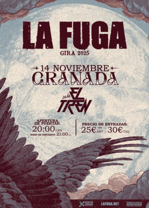 Cartel de Concierto de La Fuga en Granada