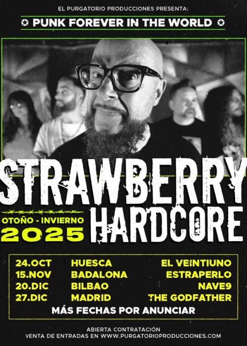 Cartel de Concierto de Strawberry Hardcore en Huesca