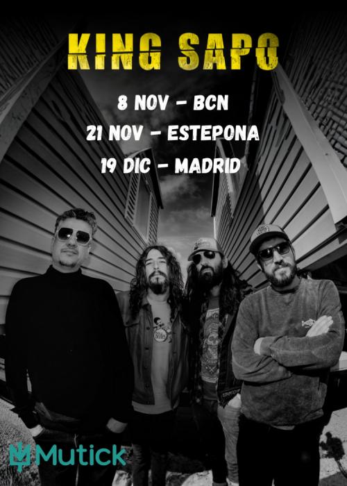 Cartel de Concierto de King Sapo en Málaga