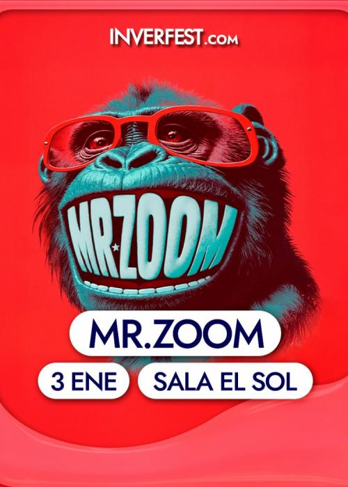 Cartel de Concierto de Mr. Zoom en Madrid
